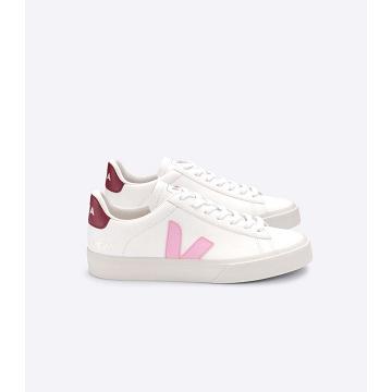 White/Pink Men's Veja CAMPO CHROMEFREE Low Tops Sneakers | AU 193WNB